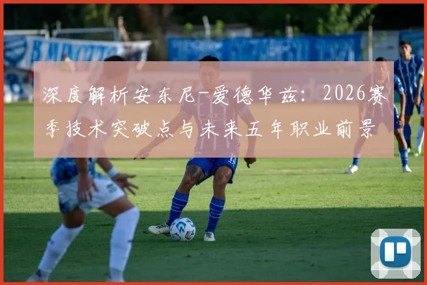 深度解析安东尼-爱德华兹:2026赛季技术突破点与未来五年职业前景展望